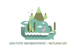 Wetland life