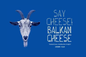 balkan cheese